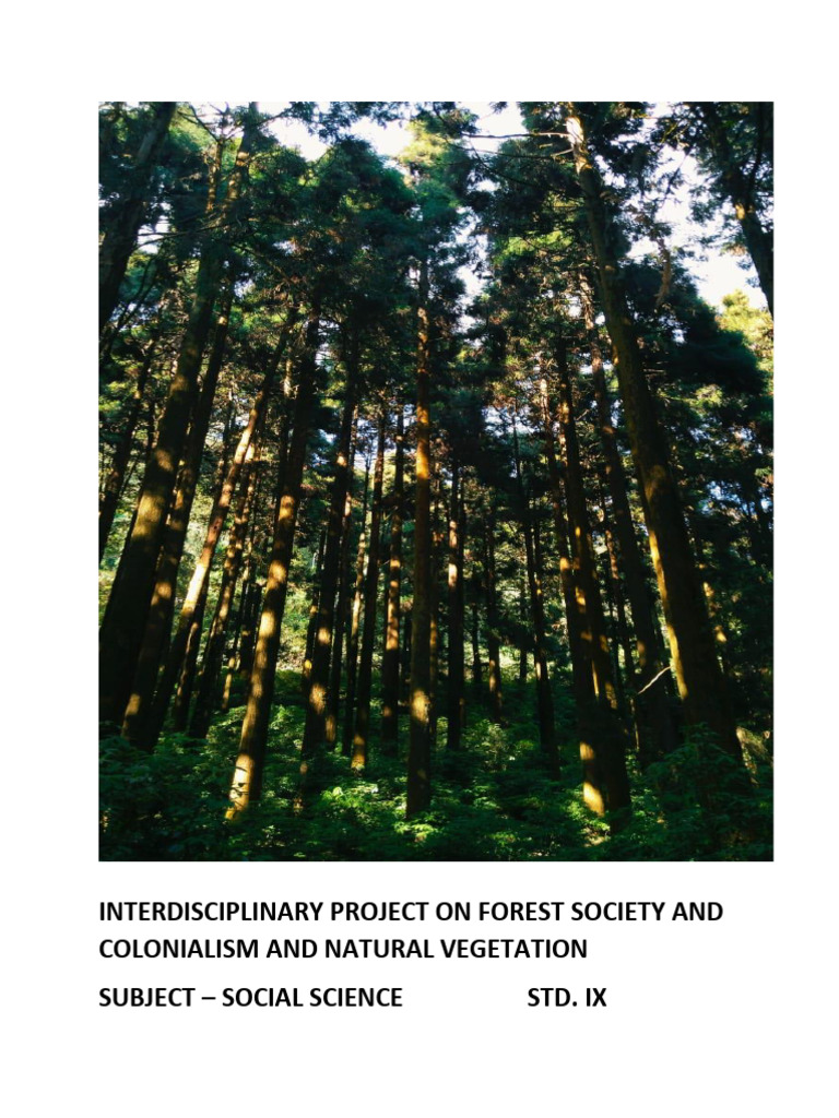 Forest Society and Colonialism Project | PDF