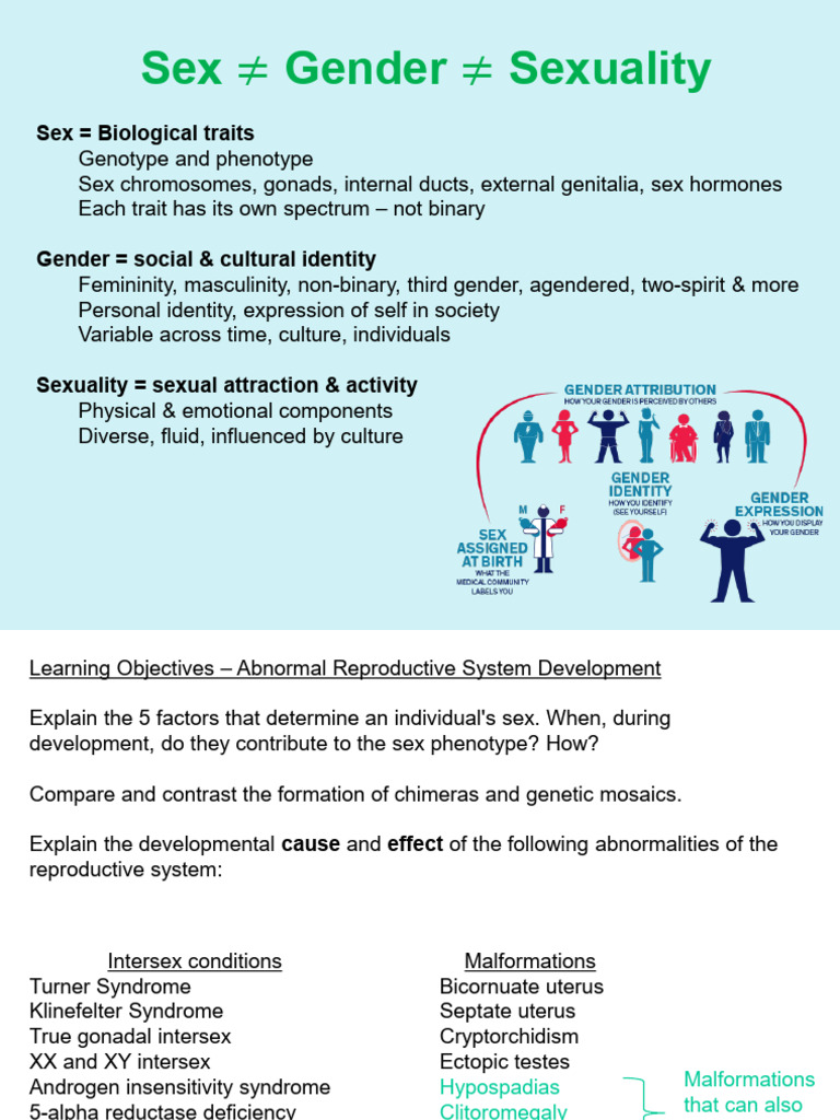 Wk6 Abnormal Reproductive System | PDF | Intersex | Androgen