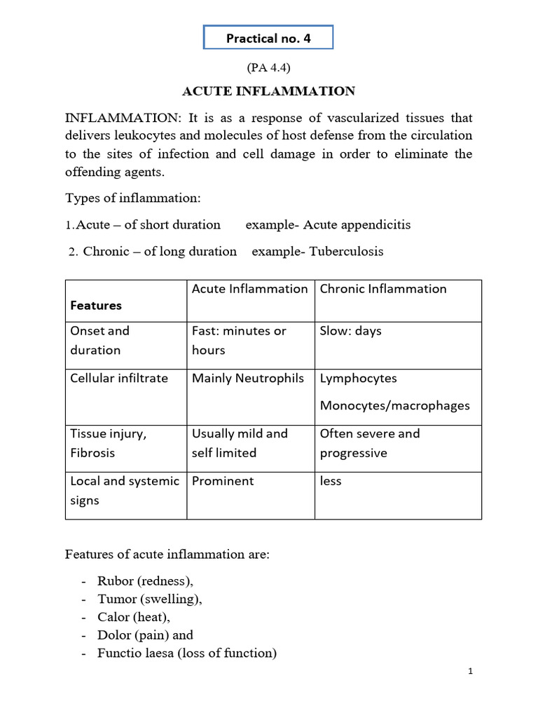 Practical 4 | PDF
