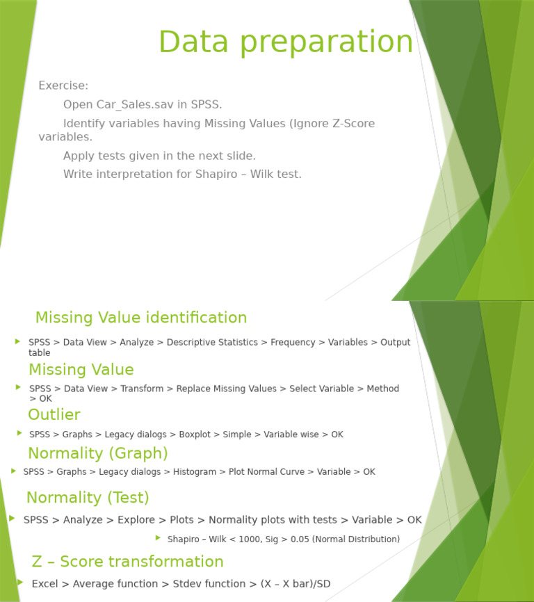 SPSS Data Preparation Guide | PDF