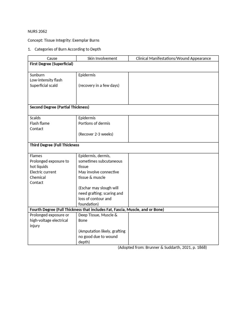 Burn Class Activity Student 2 | PDF | Burn | Medical Specialties