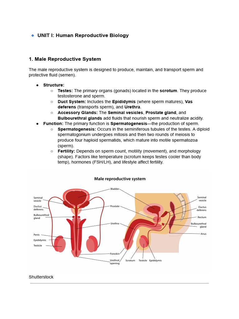 Reproductive and Developmental Biology 2nd Sem | PDF