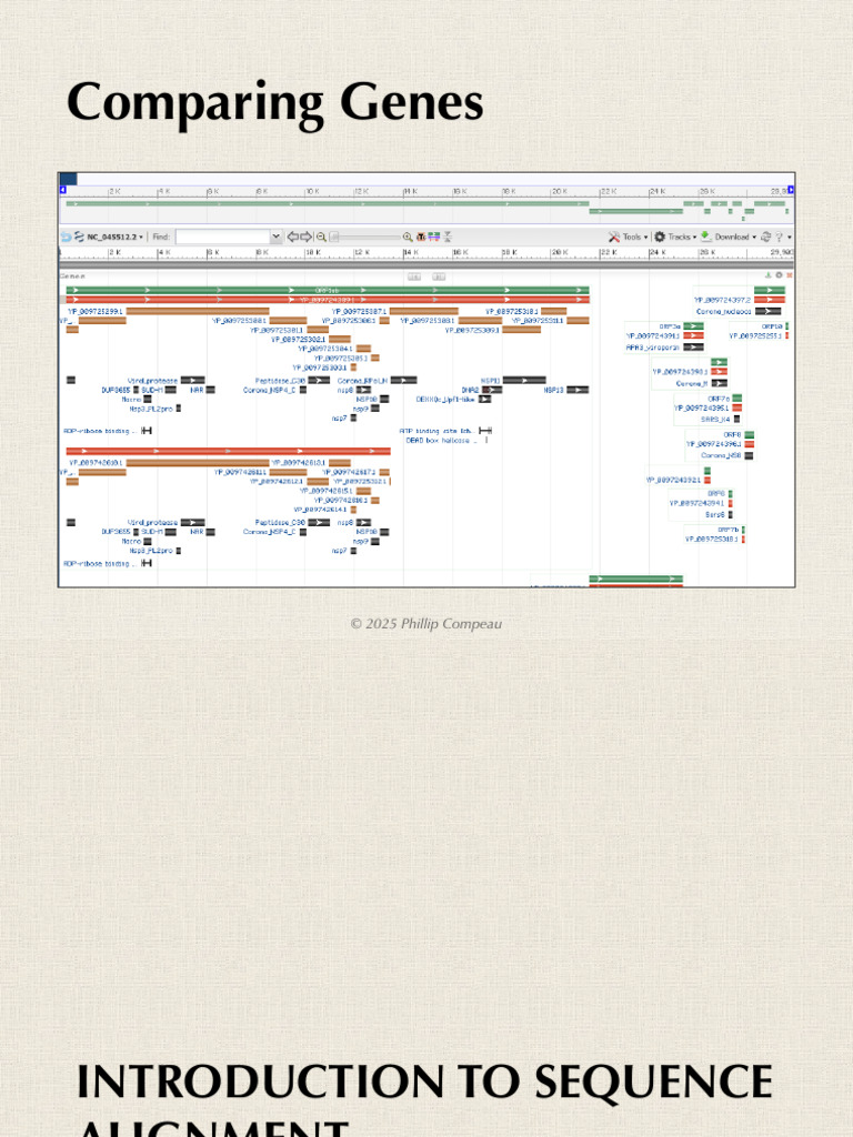 Gene Comparison and Sequence Alignment | PDF | Algorithms And Data ...