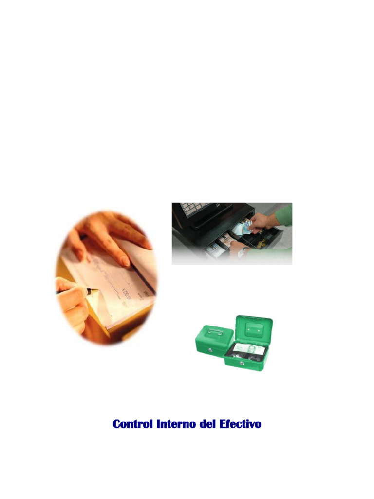 Control Interno de Caja Chica y Bancaria | PDF | Bancos | Cheque