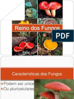 Fungos