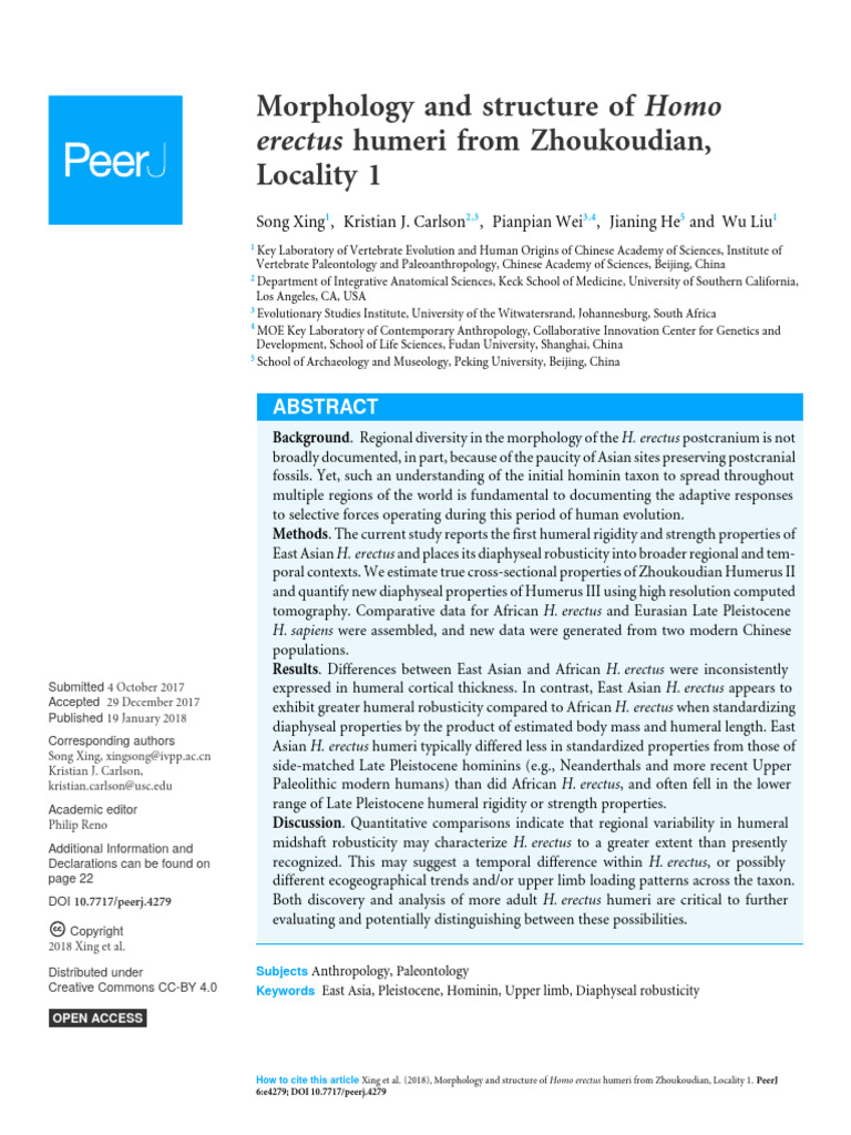 Humeral Robusticity in East Asian H. erectus | PDF | Homo | Human Evolution