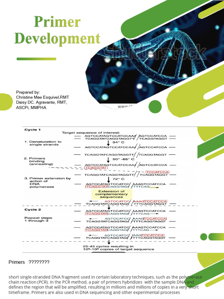 Essential Guide to PCR Primer Design | PDF | Primer (Molecular Biology ...