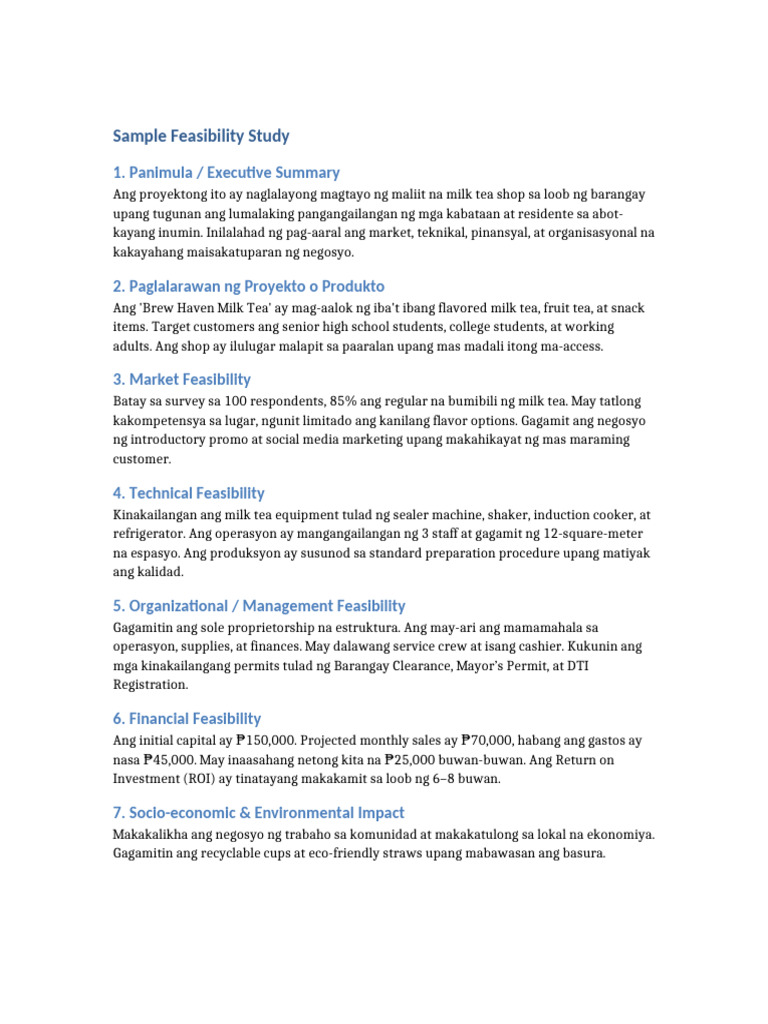 Feasibility Study Sample | PDF
