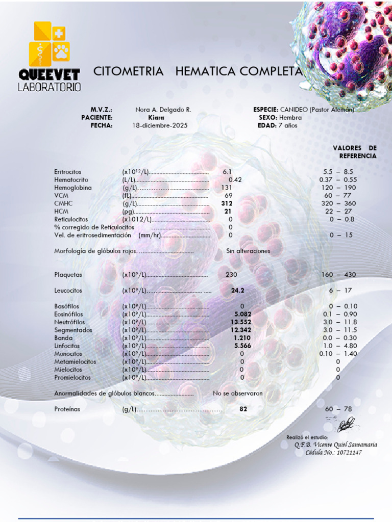 Citometria Hematica Completa Kiara | PDF | Leucocito | Tejido (biología)