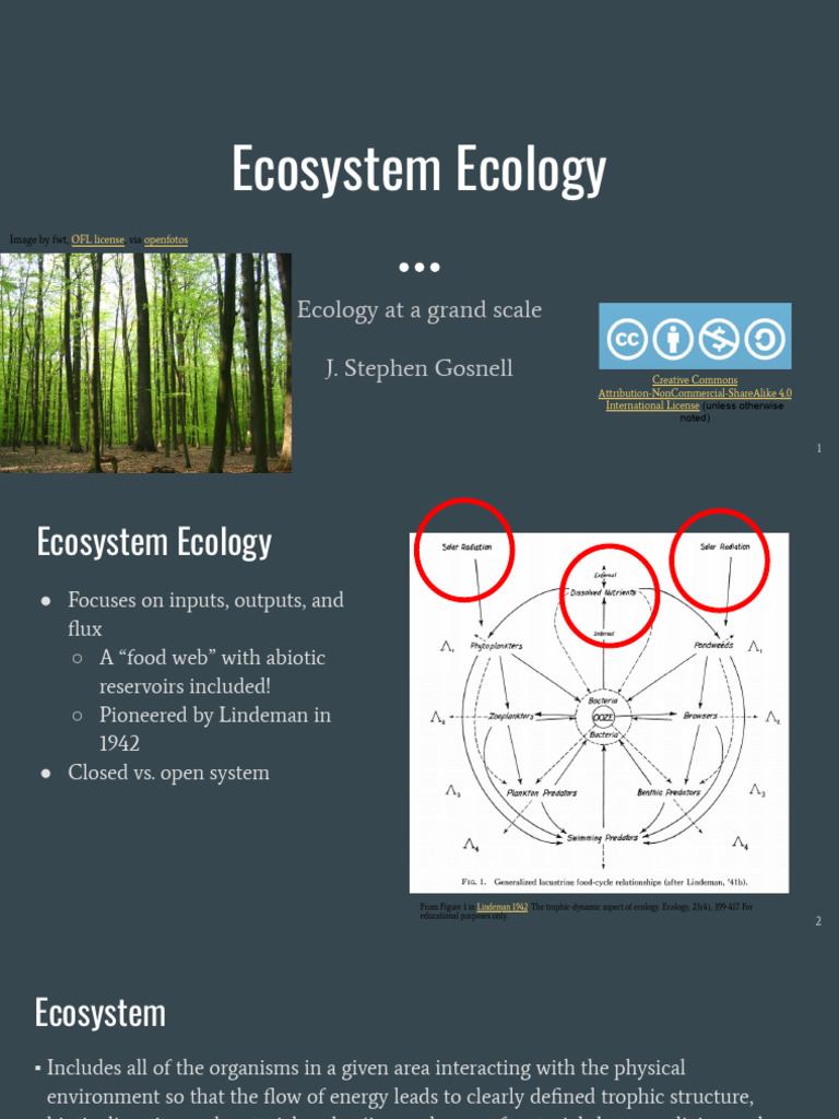 Understanding Ecosystem Ecology Basics | PDF | Primary Production ...
