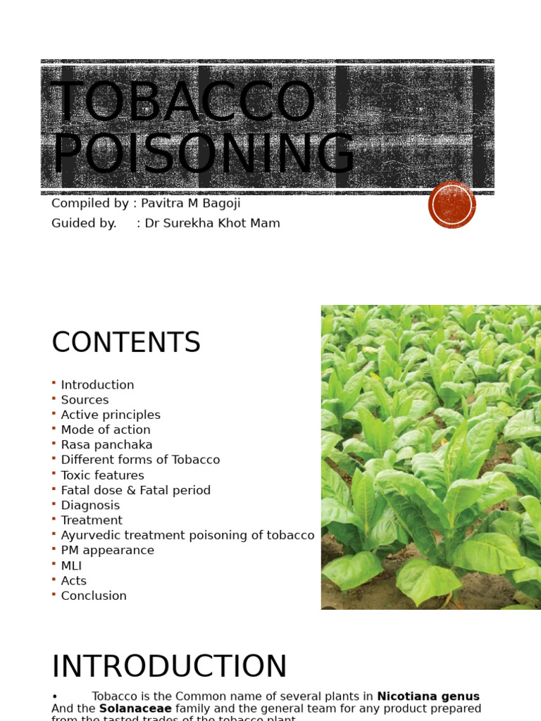 what in tobacco is harmful Smoking: Effects, Risks, Diseases, Quitting & Solutions