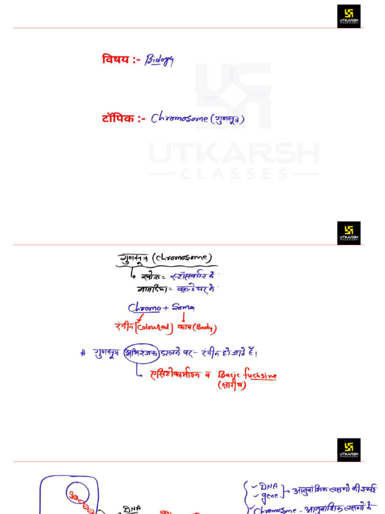 Part1Chromosome28October 20027 2766589 | PDF
