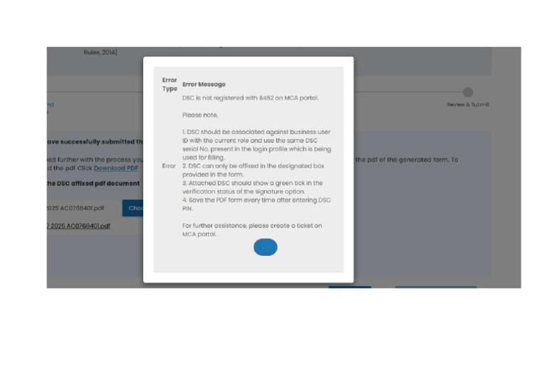 Mca Error MGT 7 2025 | PDF