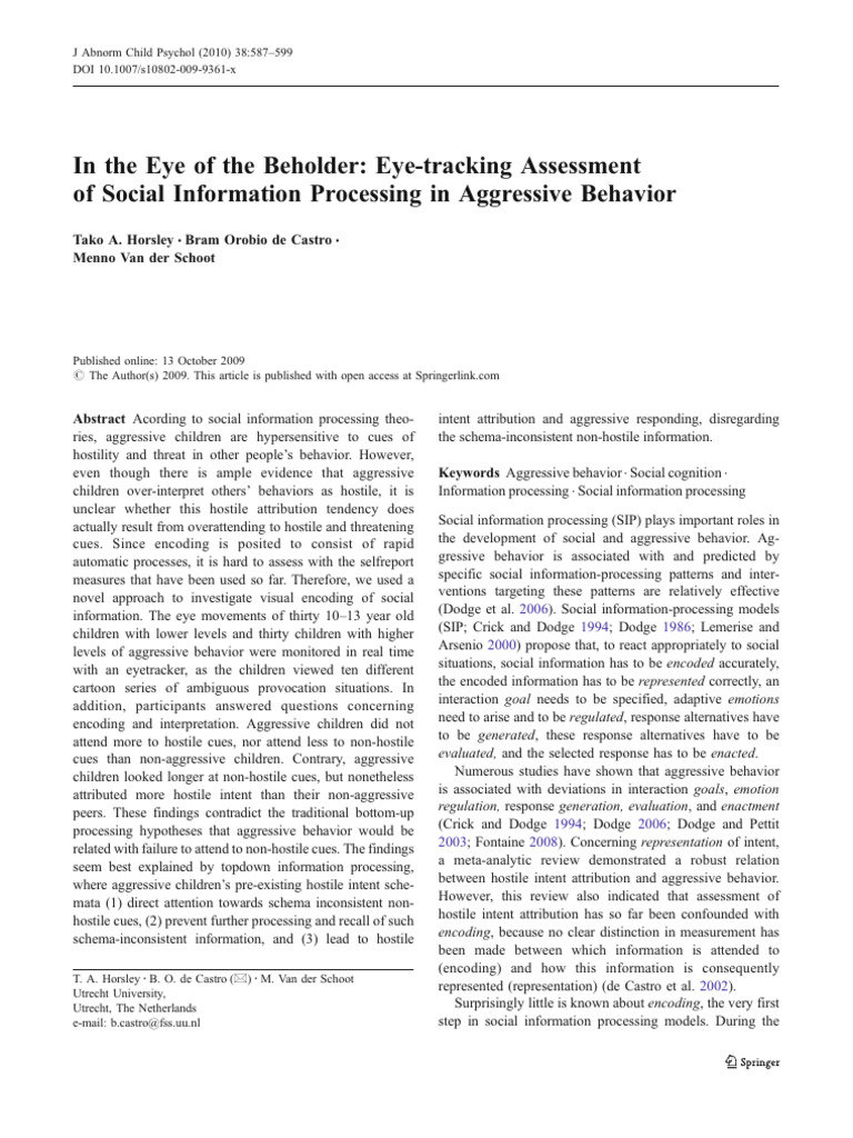 In The Eye of The Beholder | PDF | Attention | Schema (Psychology)