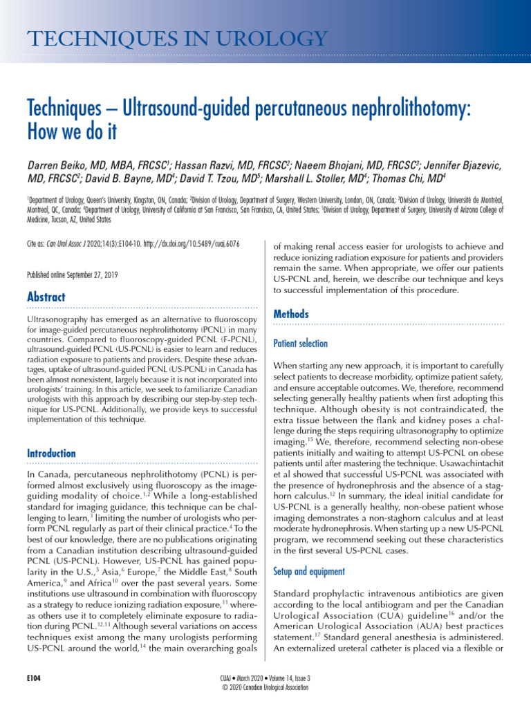 Beiko, D (2020). Techniques - Ultrasound-guided Percutaneous ...