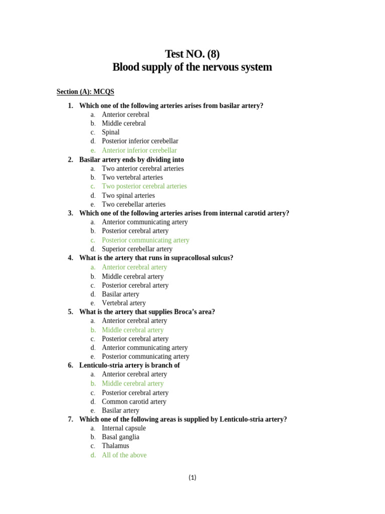 Blood Supply of the Nervous System | PDF | Cerebrum | Cardiovascular System