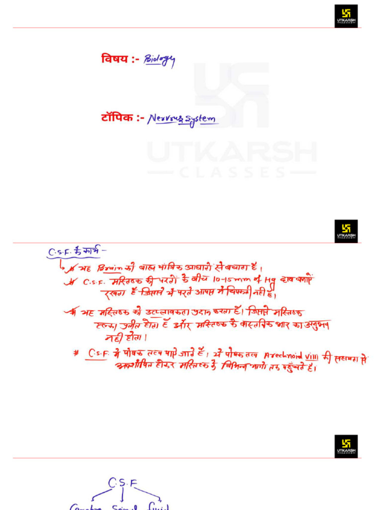 Part4NervousSystem25August 20027 2703652 | PDF