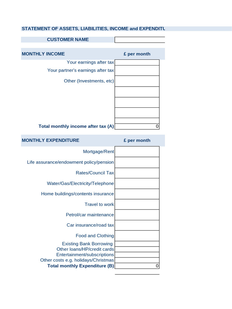 Monthly Financial Statement Template | PDF | Loans | Credit