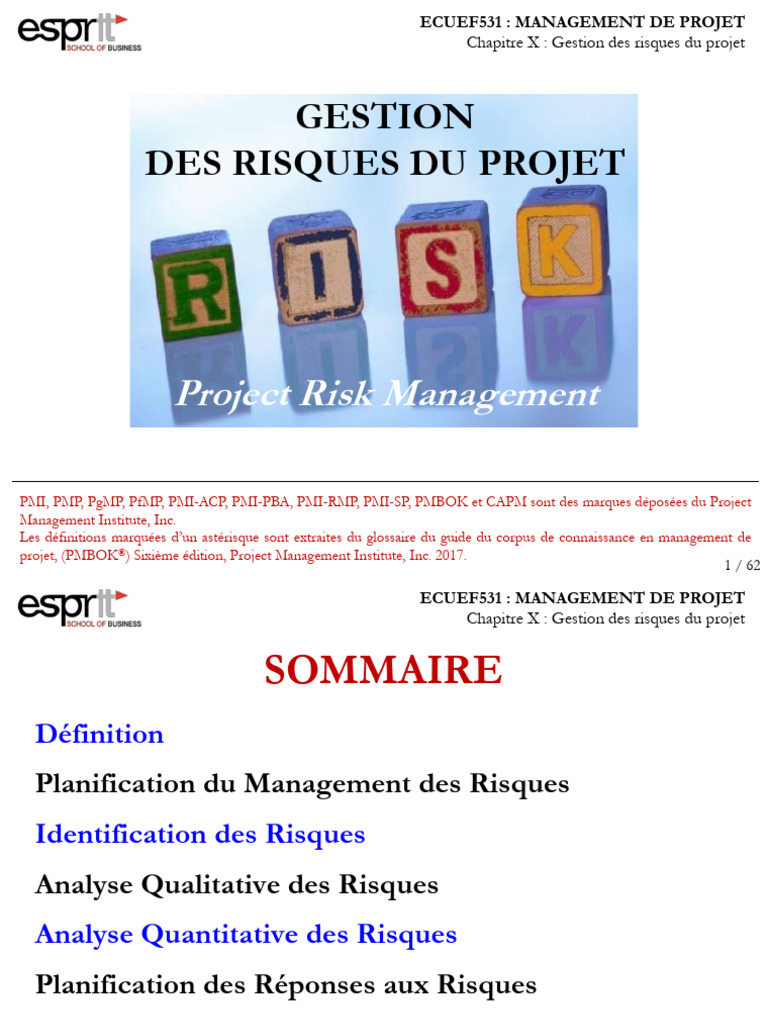 Gestion des Risques de Projet : Guide Complet | PDF | Gestion de projet ...