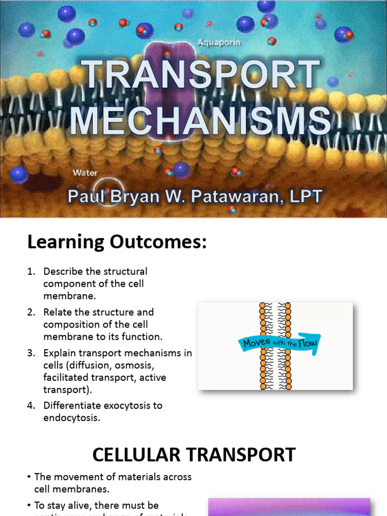 Cell Membrane Transport Mechanisms | PDF | Life Sciences | Cell Biology