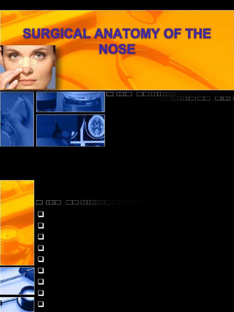 Anatomy of the Human Nose Explained | PDF | Human Nose ...
