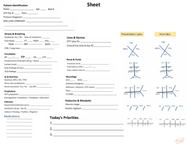 Adult ICU Morning Round Sheet | PDF