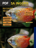 Download English Recount Text 2011 by billyukim SN97739751 doc pdf