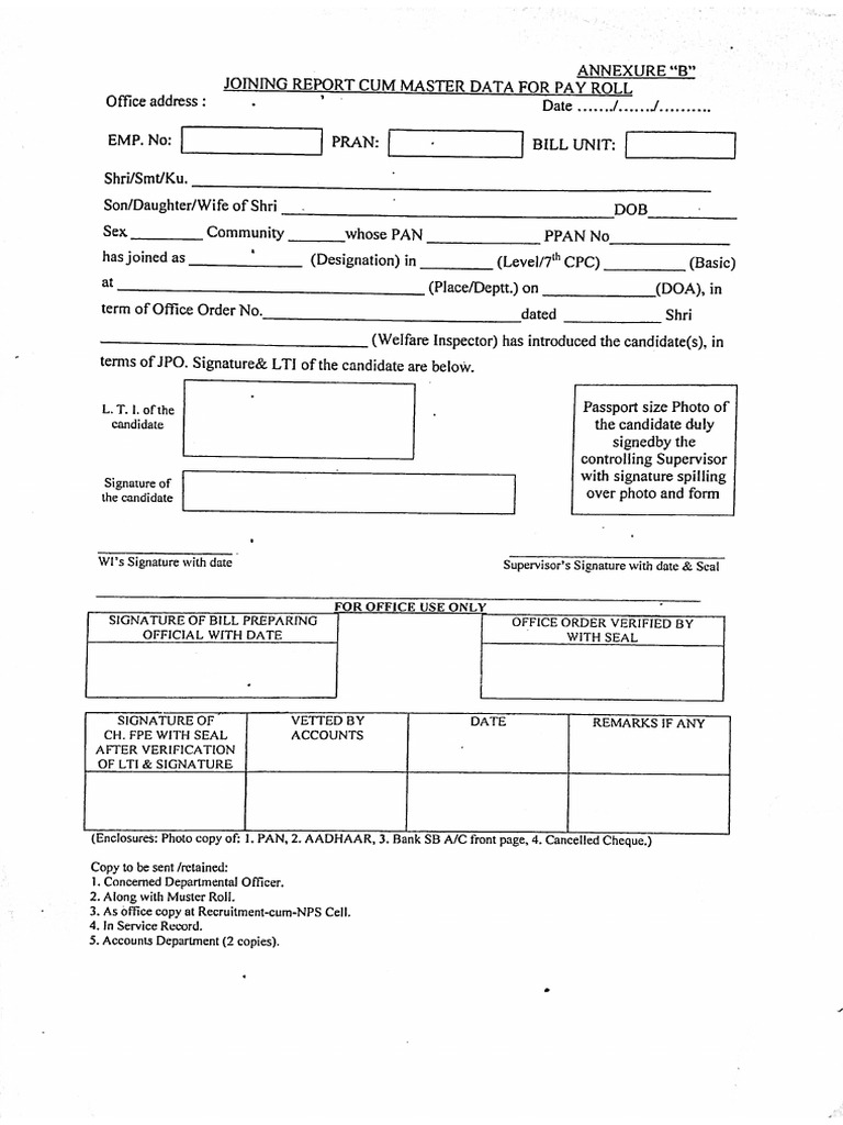 Master Data Form | PDF