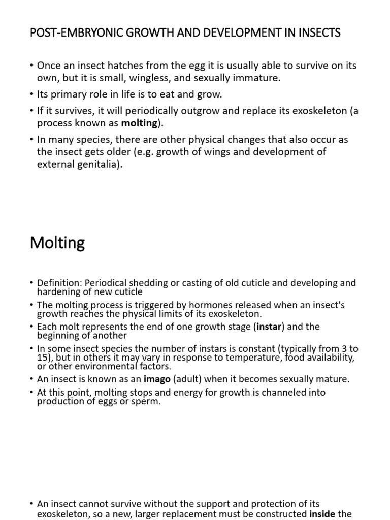 Insect Growth: Molting & Metamorphosis | PDF | Pupa | Arthropods