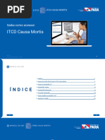 Manual para Preenchimento de DIEF | PDF | Imposto sobre herança ...
