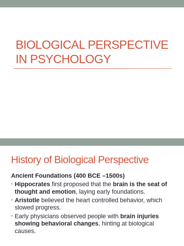 Biological Perspective in Psychology | PDF | Brain | Neurotransmitter