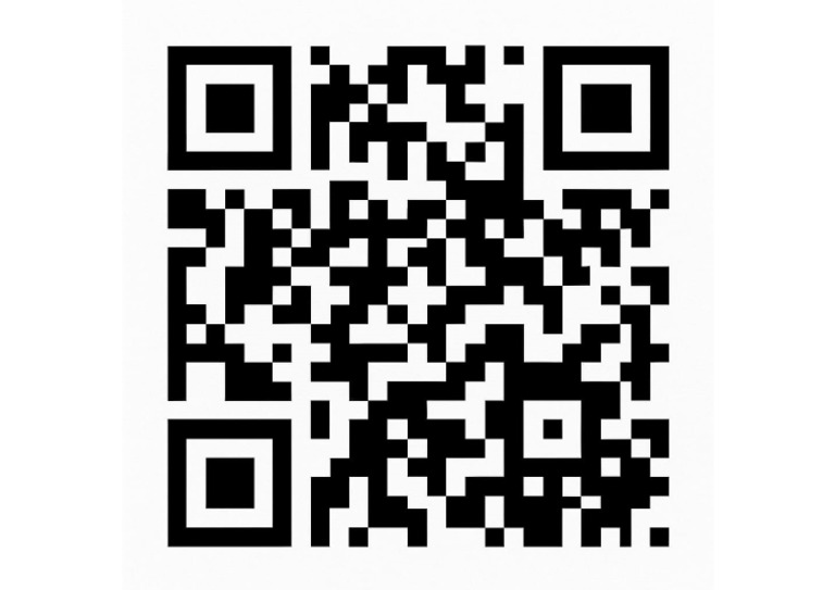 Stock QR Code | PDF
