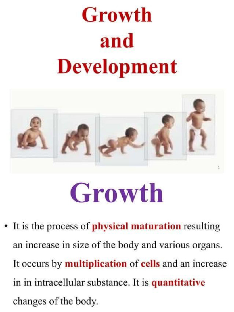 Growth and Development | PDF