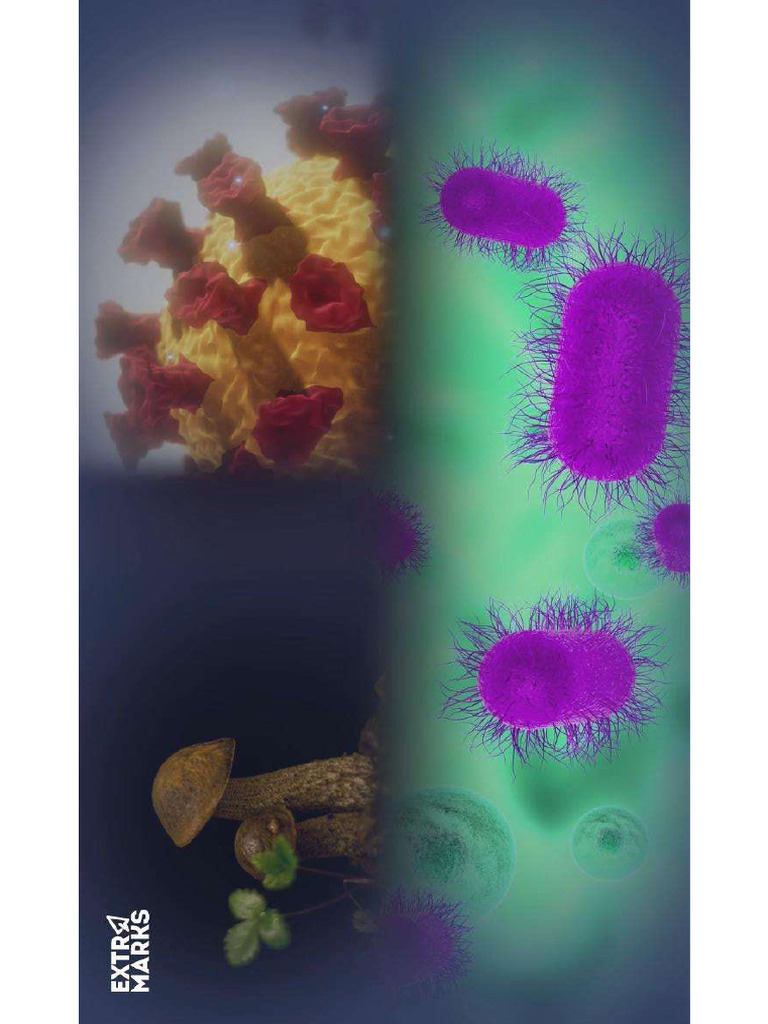 8 Thcemicrobel 2 | PDF