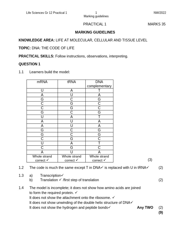 Grade 12 Life Sciences DNA Practical Guide | PDF | Translation (Biology ...