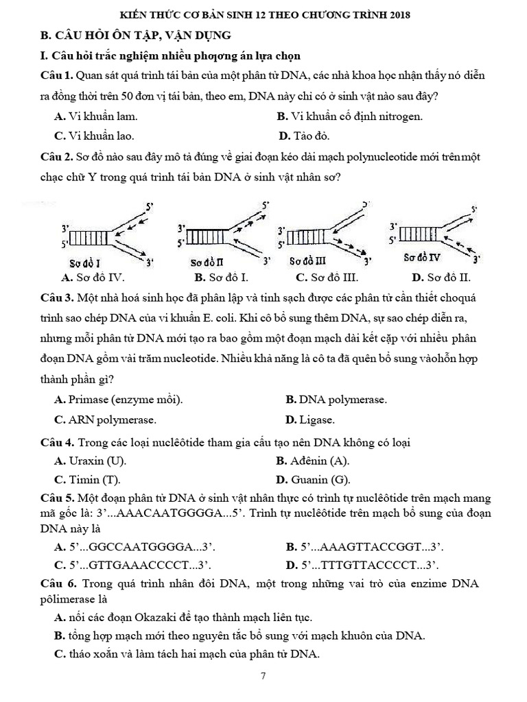 Sinh PDF | PDF
