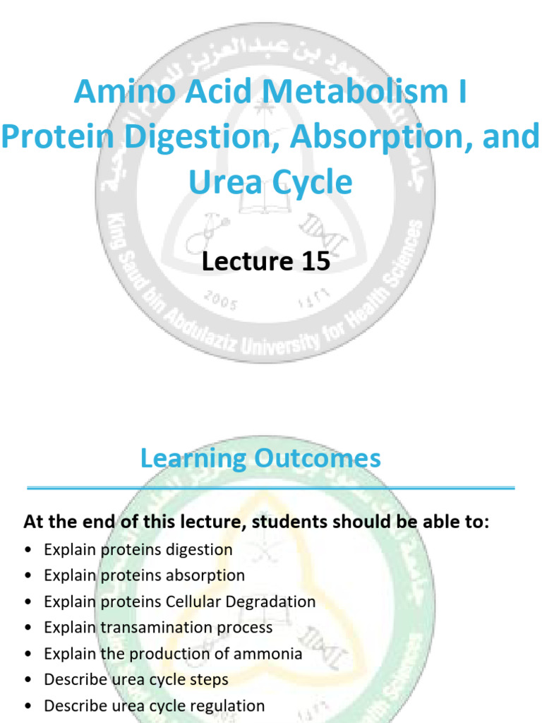 Amino Acid Metabolism: Digestion & Urea Cycle | PDF | Amino Acid | Alanine