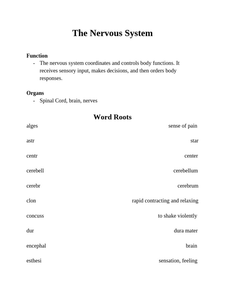 Overview of the Nervous System Functions | PDF | Cerebrum | Central ...