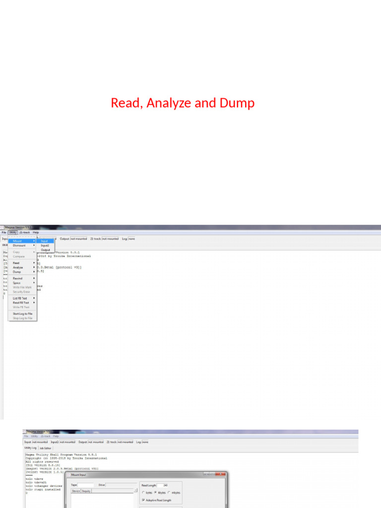 Read, Analyze and Dump | PDF