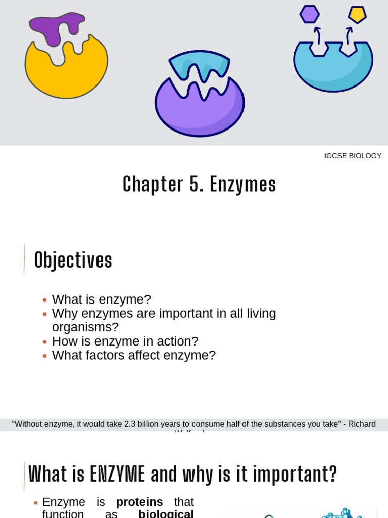Understanding Enzymes in Biology | PDF | Enzyme | Active Site