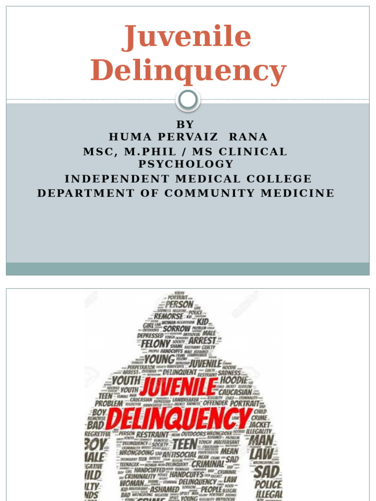 Understanding Juvenile Delinquency Factors | PDF | Child Abuse ...
