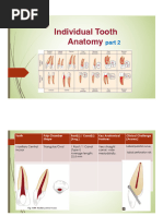 Endodontic Canal Configuration Guide | PDF | Tooth | Dental Anatomy