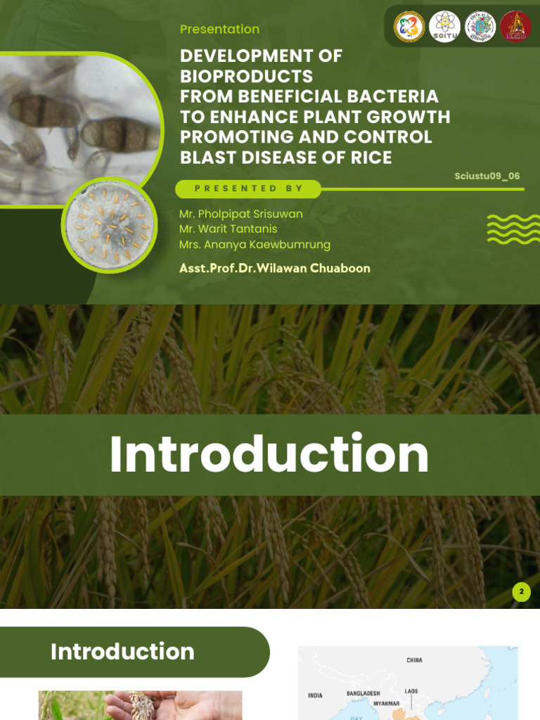 Bioproducts from Bacteria for Rice Growth | PDF | Bacteria | Rice