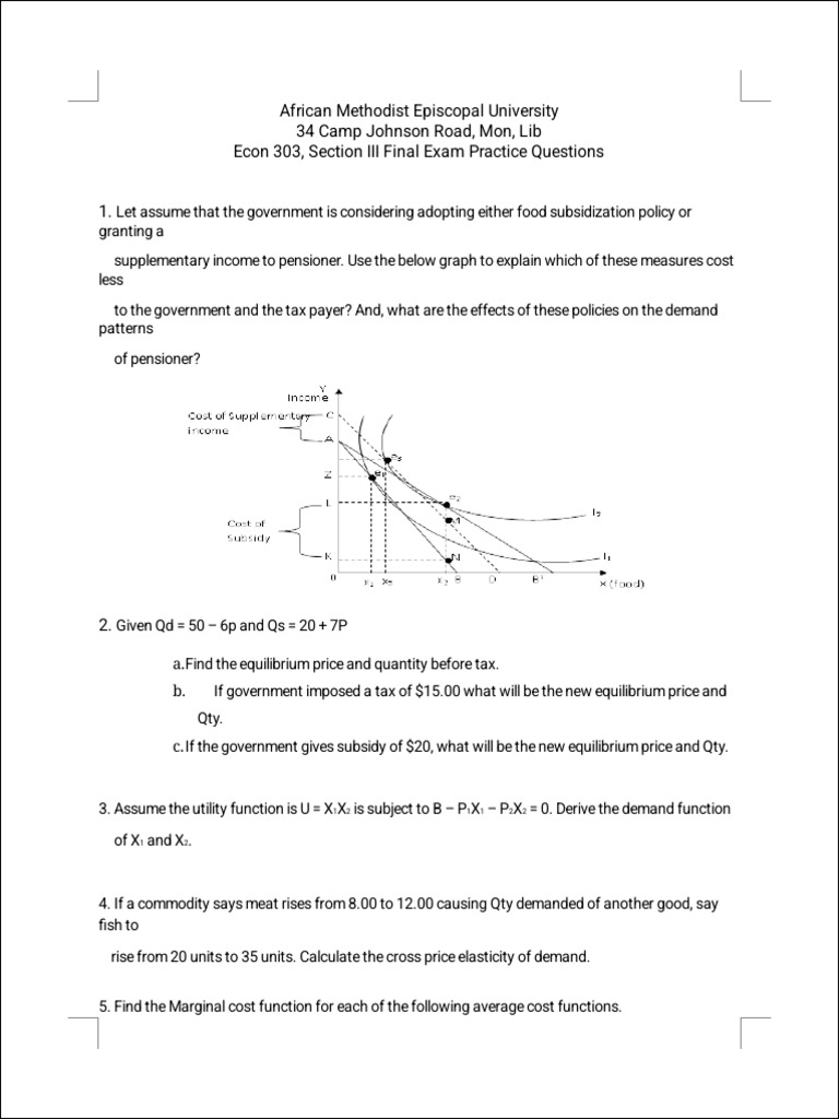 Econ 303 Final Exam Practice Questions | PDF