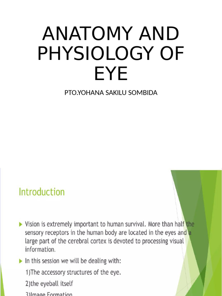 Anatomy and Phy of Eye | PDF