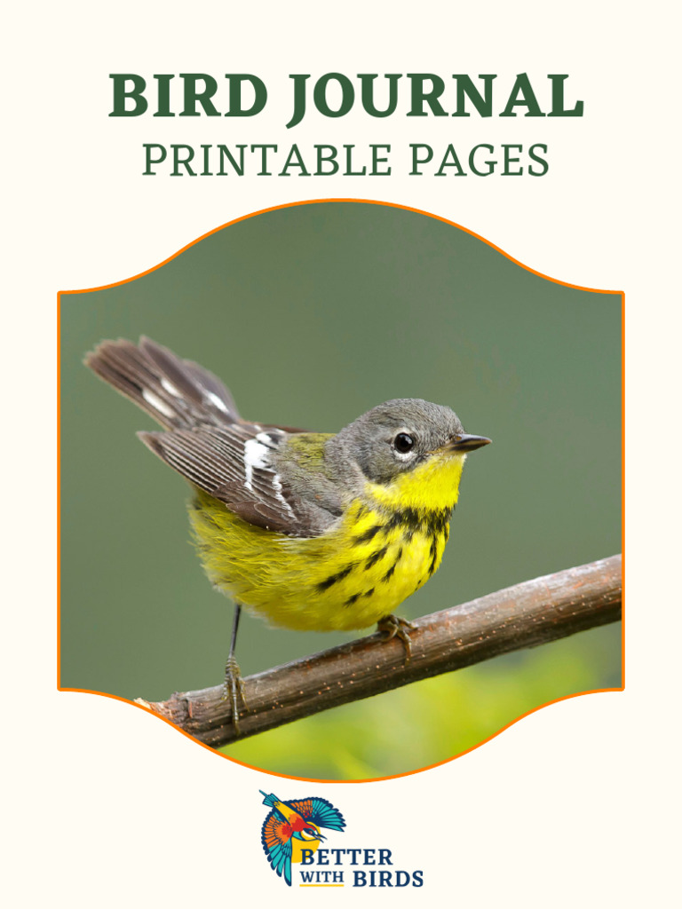 Printable Bird Journal Pages | PDF | Birds | Birdwatching