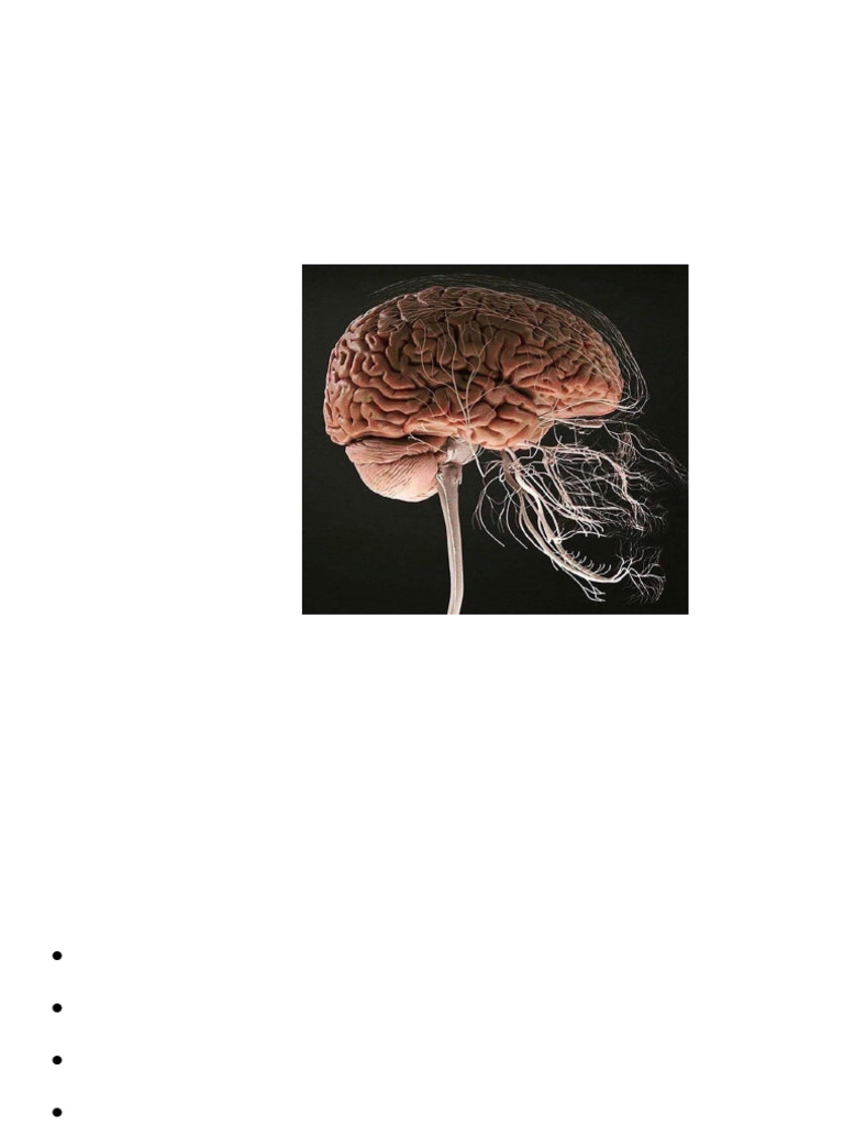 Normal Physiology. Lecture 11 (2) | PDF | Chemical Synapse | Excitatory ...