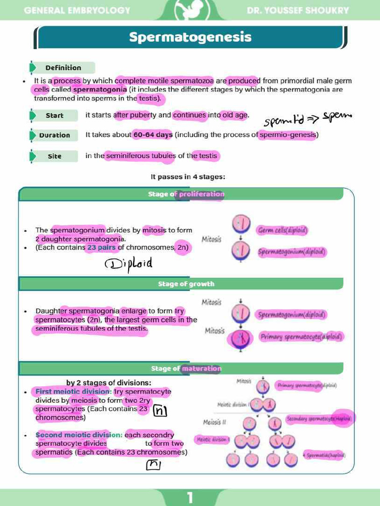 General Embryology Revision | PDF