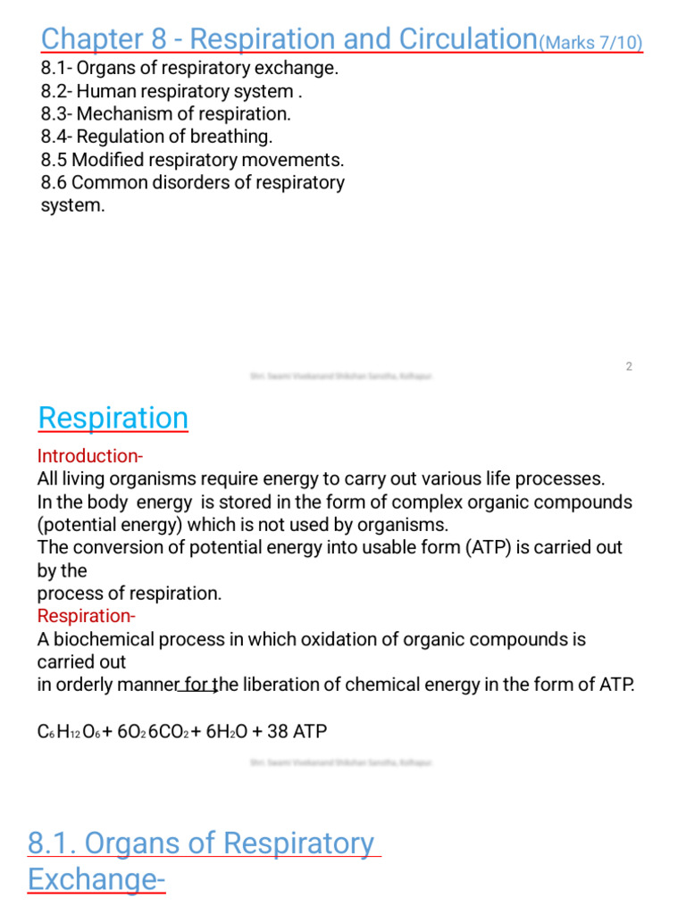 Human Respiratory System Overview | PDF | Lung | Respiratory System