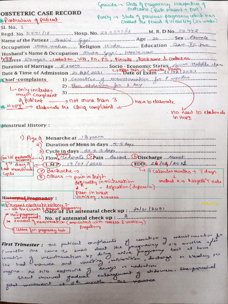 Labour Record_240403_111826 | PDF | Human Reproduction | Women's Health
